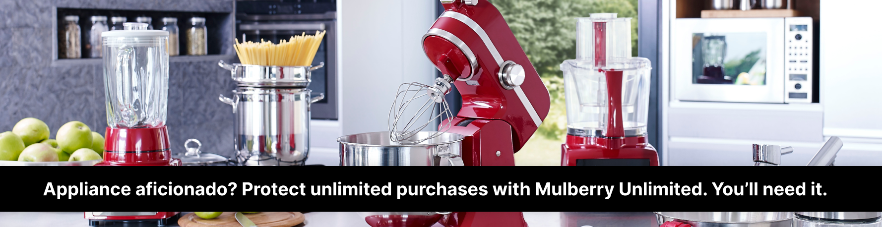 Appliance aficionado? Protect unlimited purchases with Mulberry Unlimited. You'll need it.