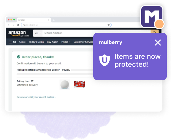Get Mulberry Unlimited and protect everything you buy online