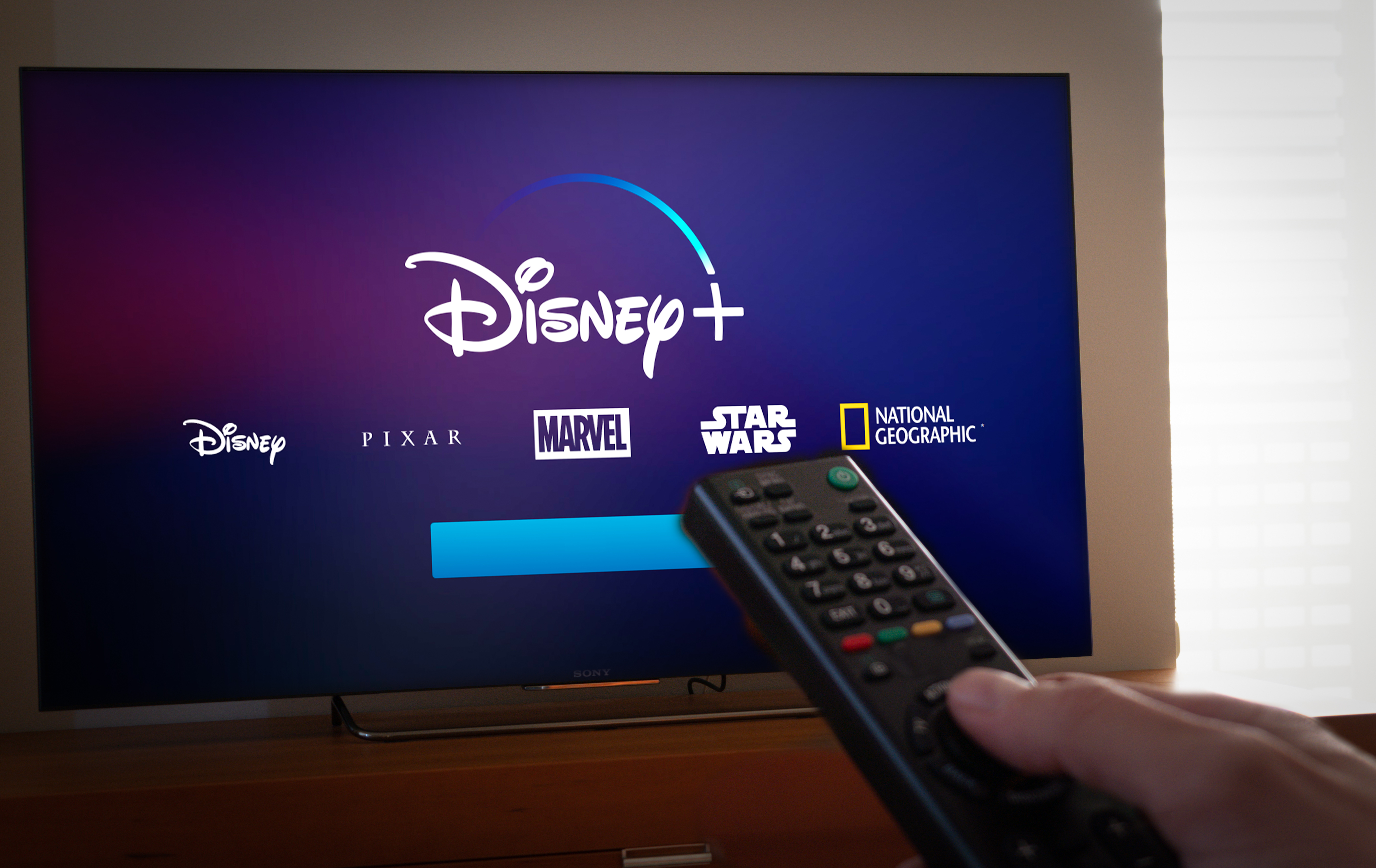Person holding a TV remote with the Disney+ logo on it