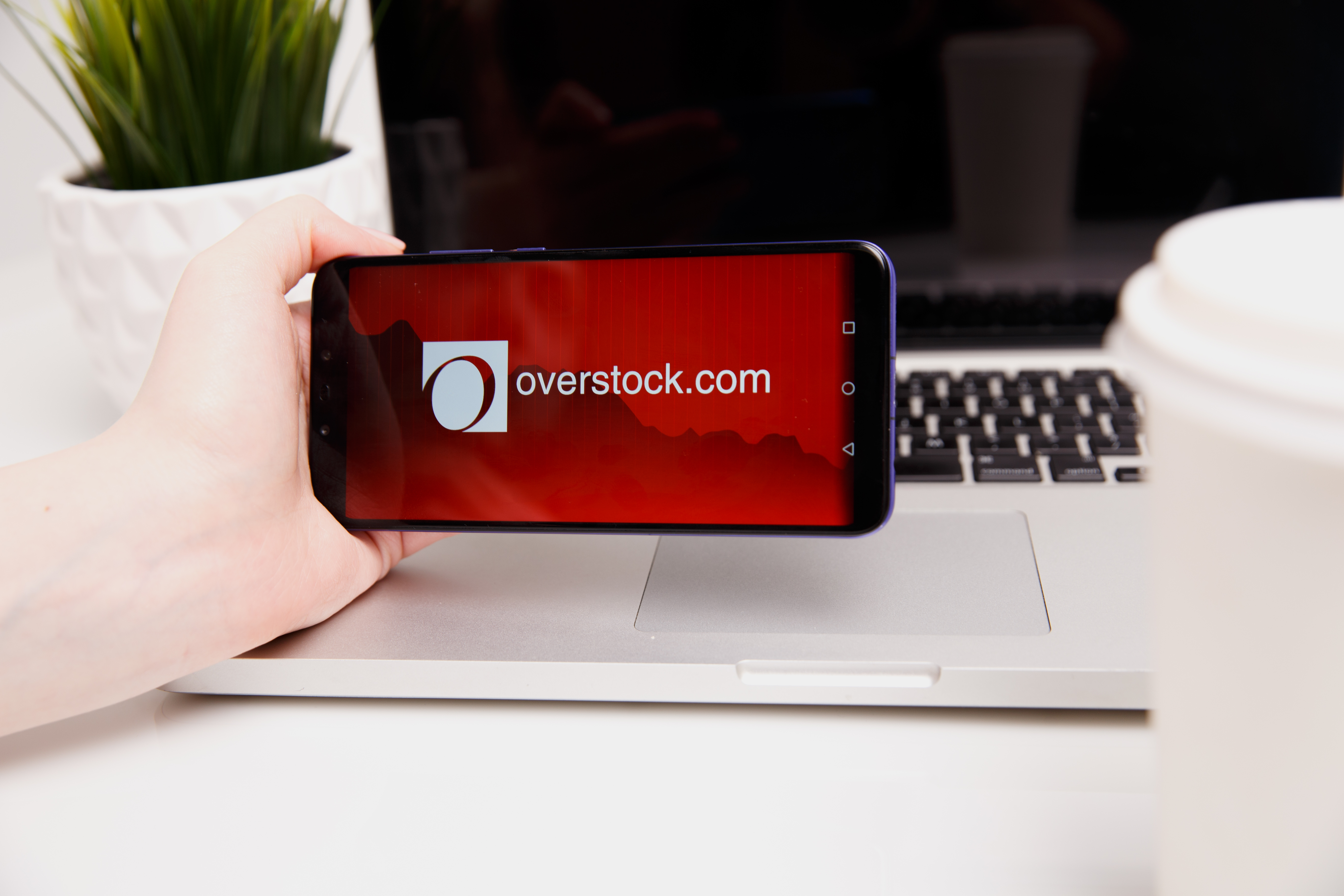 Everything you need to know about the Overstock protection plan