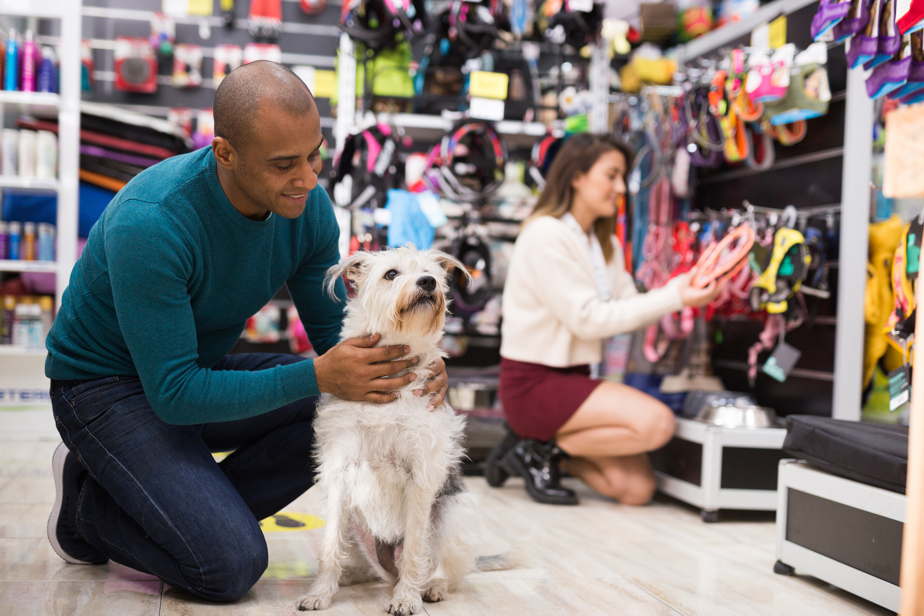 Man crouching to pet his dog in a pet store