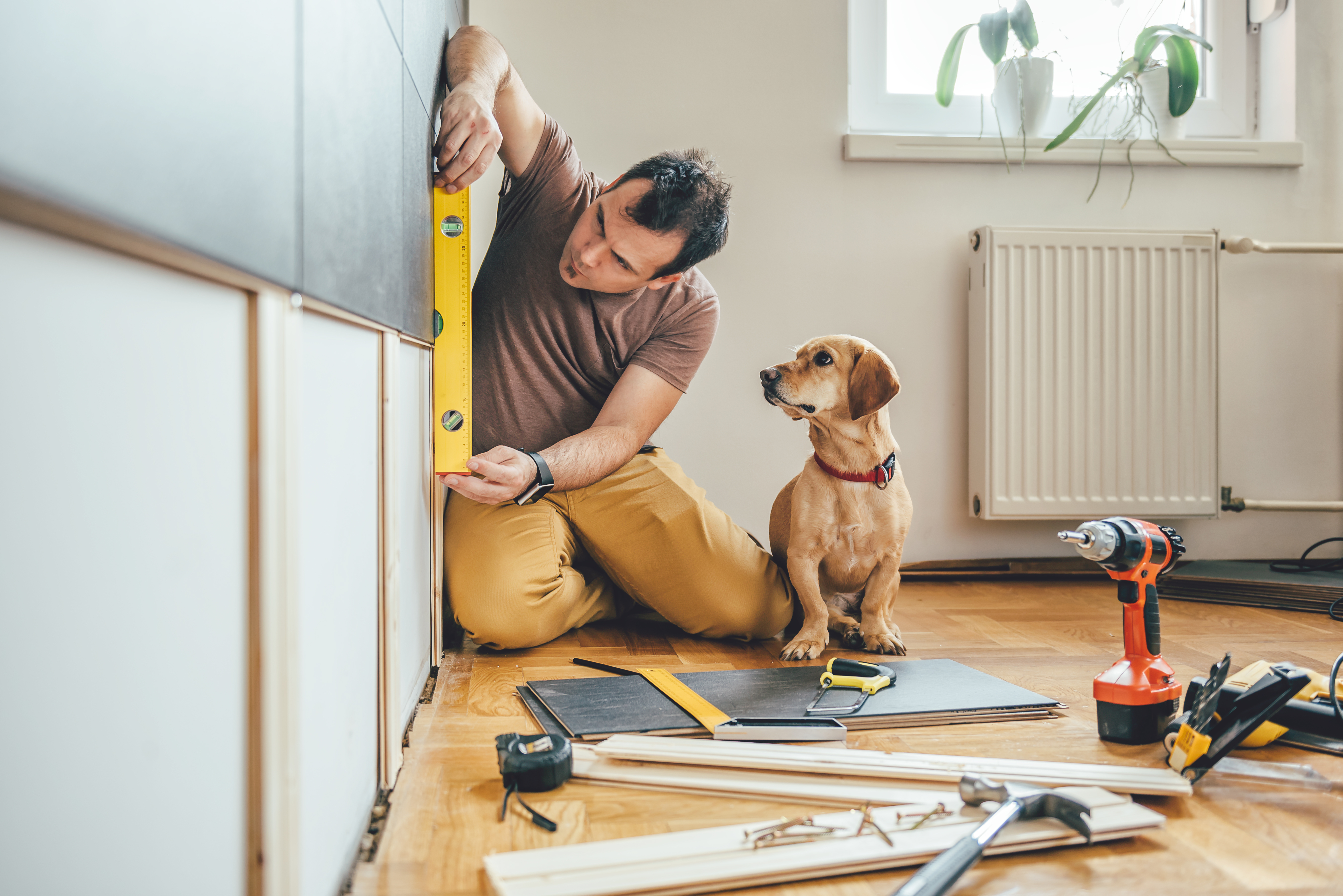 Man and his dog measuring for a DIY project