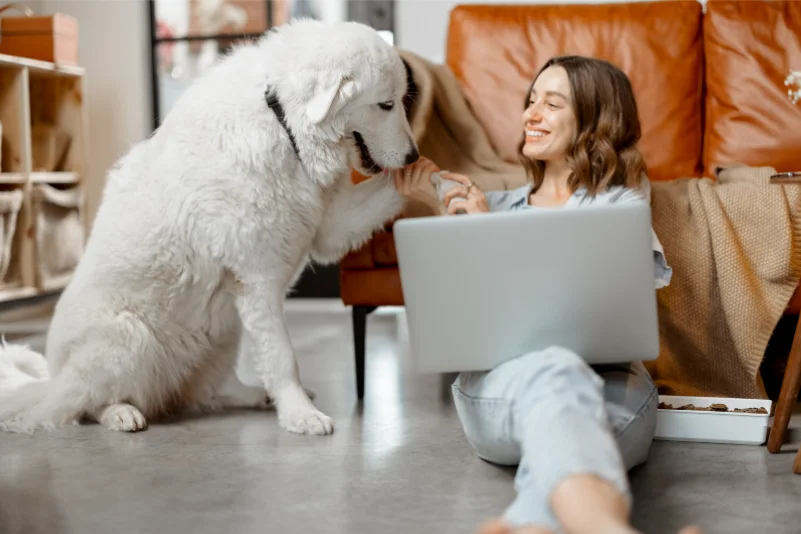 woman with computer and dog